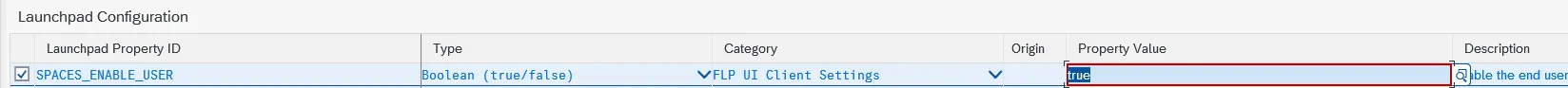 Property SPACES_ENABLE_USER