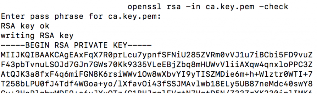Generate Public Key From Private Key Openssl