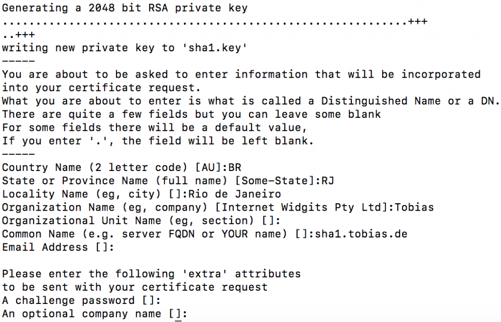 Openssl Private Key