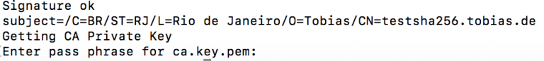 openssl sha 256 openssl sha 256