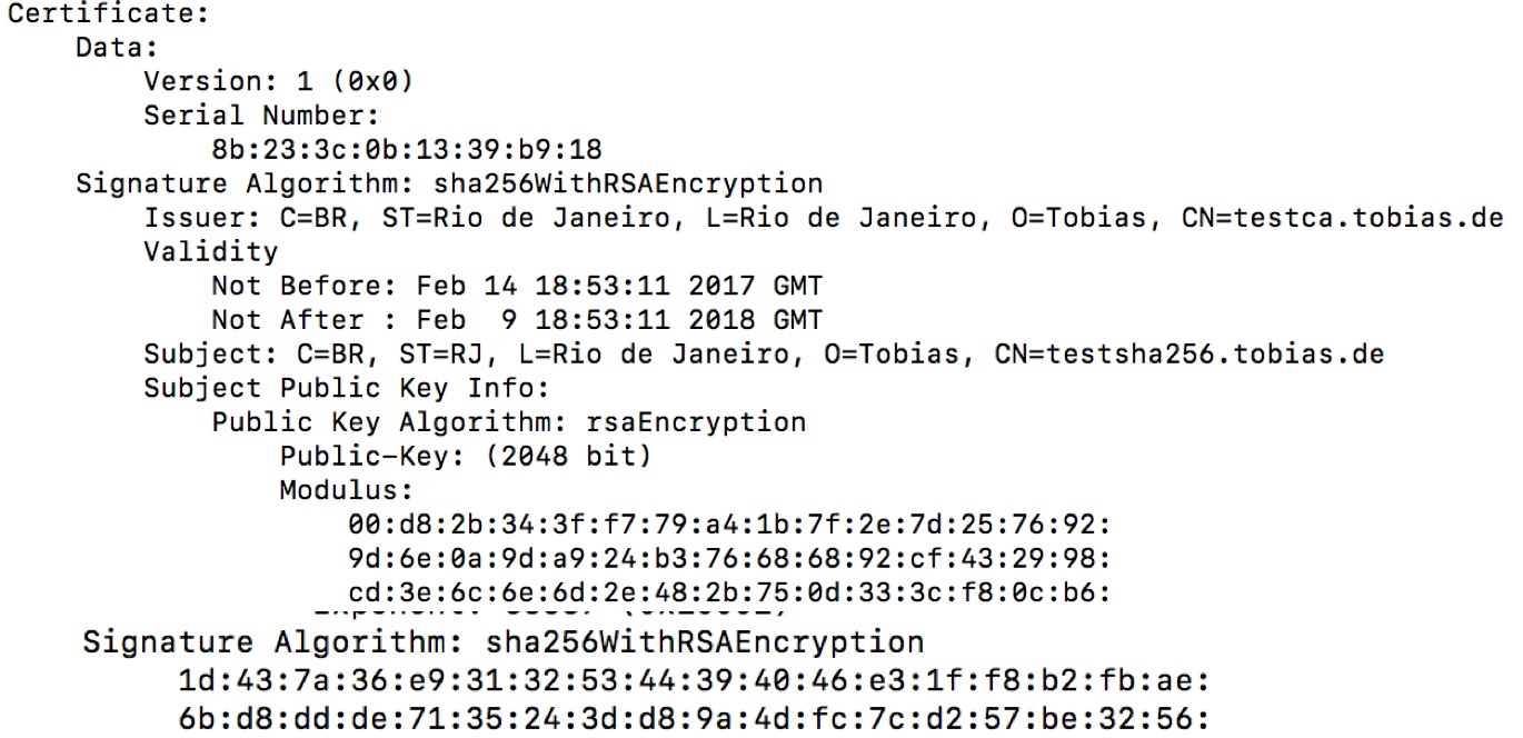 openssl x509 openssl x509
